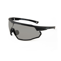 618130 LYNX Cycling glasses Galibier-P